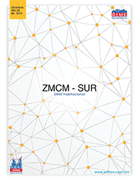 ZMCM Sur